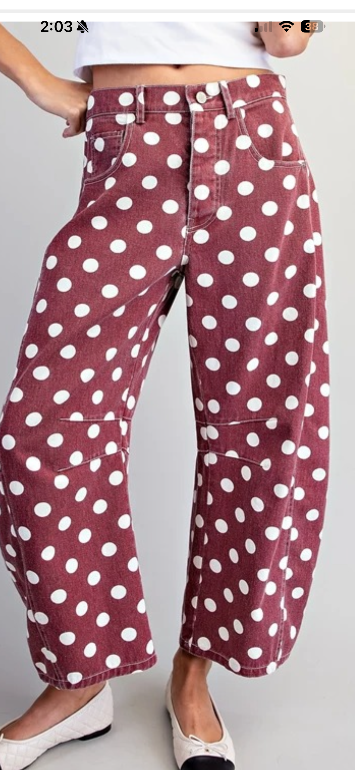 Polka Dot Statement Pants (Wine)